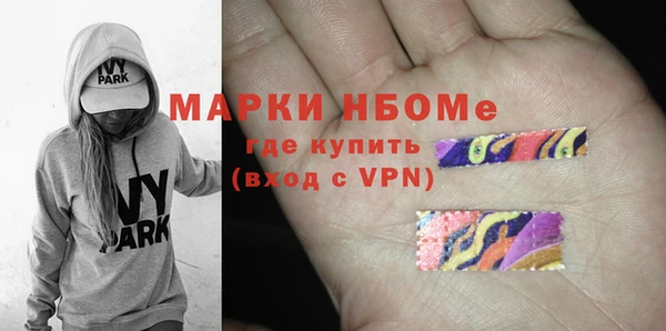 прущие грибы Новозыбков