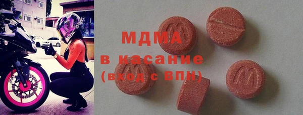 прущие грибы Новозыбков