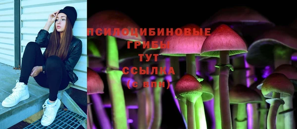 крисы Новокубанск