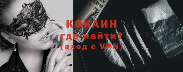 прущие грибы Новозыбков