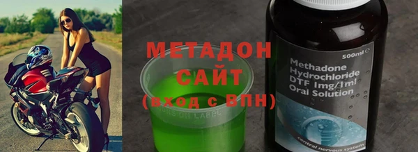 прущие грибы Новозыбков