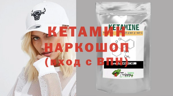 прущие грибы Новозыбков