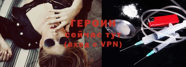 прущие грибы Новозыбков