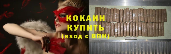 крисы Новокубанск