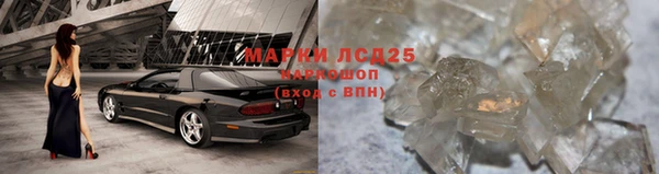 крисы Новокубанск