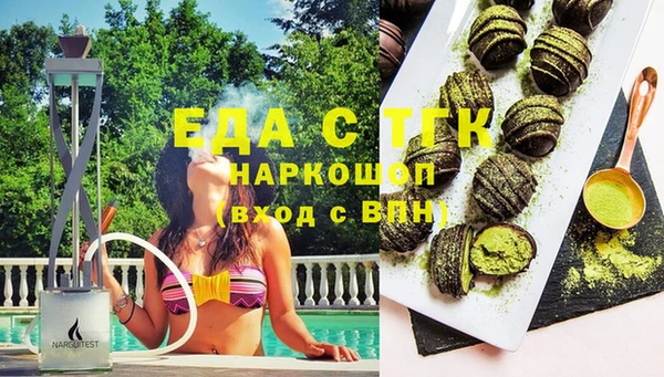 прущие грибы Новозыбков