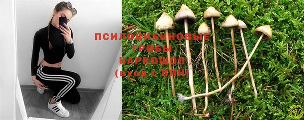 spice Новодвинск