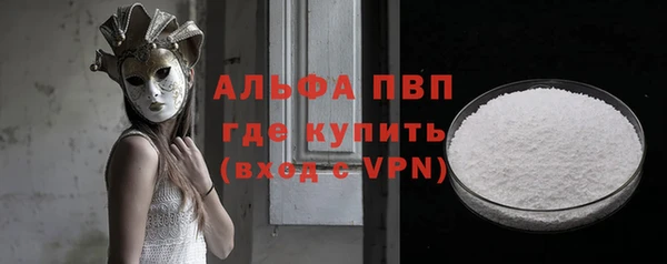 spice Новодвинск