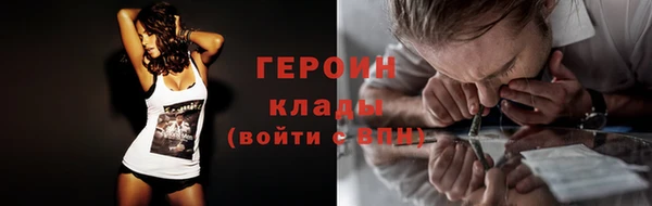прущие грибы Новозыбков