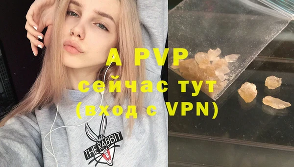 крисы Новокубанск