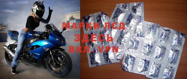 spice Новодвинск