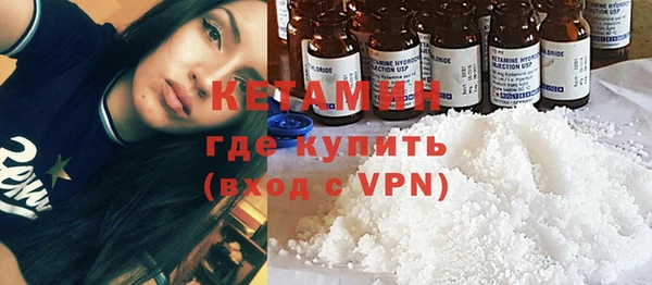 прущие грибы Новозыбков