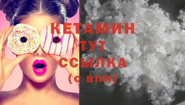 прущие грибы Новозыбков
