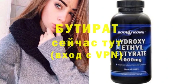 прущие грибы Новозыбков