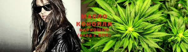 spice Новодвинск