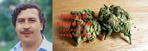 крисы Новокубанск