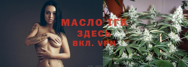 прущие грибы Новозыбков