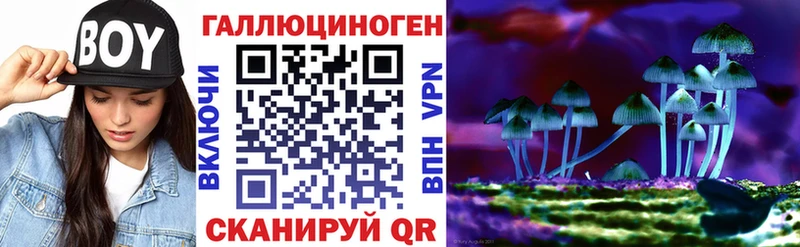 Псилоцибиновые грибы MAGIC MUSHROOMS  закладка  Агрыз 